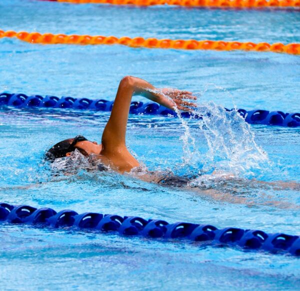 Kraulkurs für Erwachsene